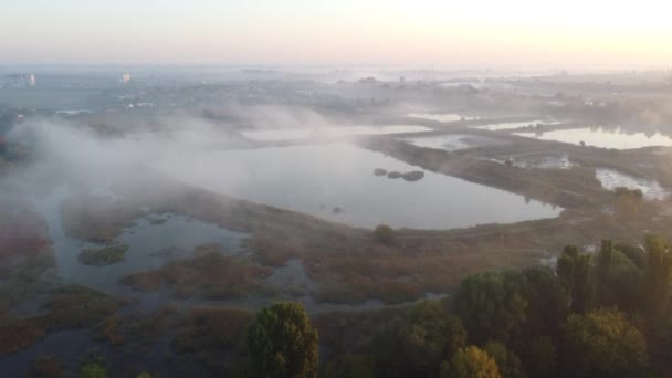 Lakes Artificially Created Water Ponds Growing Fish Farming Morning Mist — Video