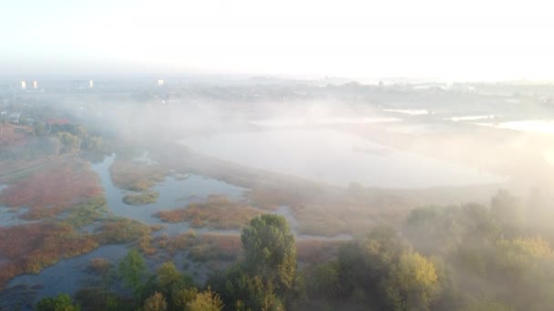 Lakes Artificially Created Water Ponds Growing Fish Farming Morning Mist — 图库视频影像