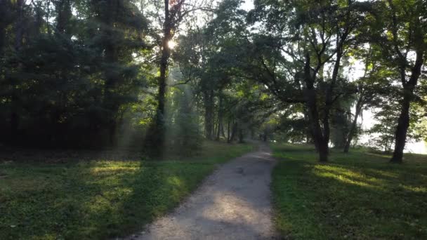Brightly Shining Sun Branches Trees People Walking Dirt Path Park — Stockvideo