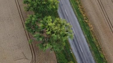 Otoyol, arabalar ve ağaçlar ekilmiş ve olgunlaşmış buğdaylar arasında. Tarım tarımı tarım arazisi. Hasat mahsulü manzarası. Seyahat aracı. Hava aracı görüntüsü. Üst görünüm.