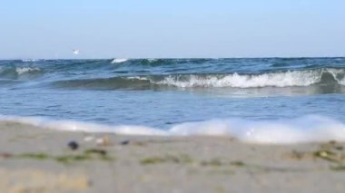 Fırtınalı deniz. Güneşli bir günde kumlu sahil sahillerinde fırtına sırasında deniz dalgaları. Beyaz köpüklü deniz dalgaları ve deniz kıyısında bulutsuz mavi gökyüzü. Kıyı deniz manzarası. Doğal arka plan. Çevresel