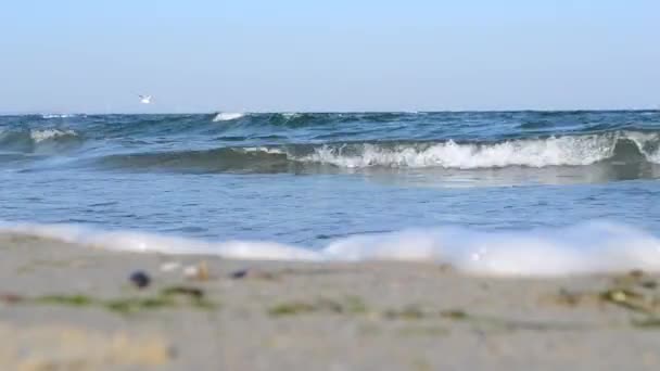 Stormy Sea Sea Waves Storm Running Sandy Beach Sea Shore — Stockvideo