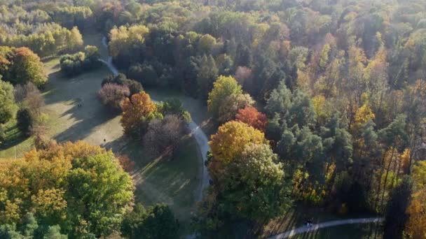 Létání Nad Stromy Žlutými Zelenými Listy Parku Špinavými Cestičkami Lidé — Stock video