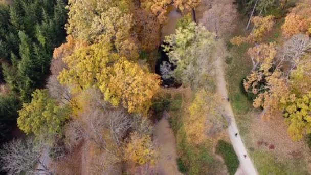 Flying Autumn Park Many Trees Yellow Green Fallen Leaves Lakes — Vídeos de Stock