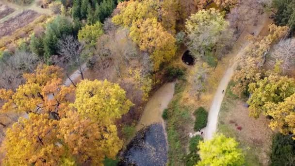 Terbang Atas Taman Musim Gugur Banyak Pohon Dengan Daun Hijau — Stok Video