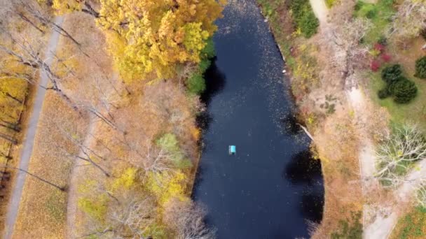 Flying Autumn Park Many Trees Yellow Green Fallen Leaves Lakes — Stockvideo