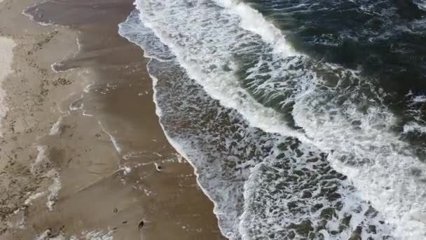 Sea Waves Sea Waves White Foam Rolling Sandy Beach Seashore — Stock Video