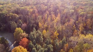 Flying over trees with yellow and green leaves in park with dirt paths on sunny autumn day. Forest wood nature sunlight sunshine. Autumnal background. Aerial drone view. Red sun glare, solar flare