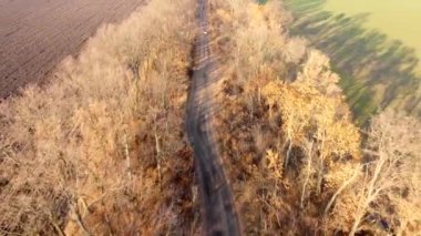 Empty dirt country road between trees without leaves between agricultural fields on autumn sunny day. Trees cast long shadows. Rural countryside landscape, country scenery.