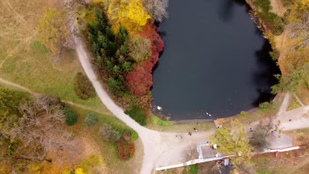 Όμορφη Θέα Ενός Φθινοπωρινού Πάρκου Δέντρα Κίτρινα Πεσμένα Φύλλα Λίμνες — Αρχείο Βίντεο