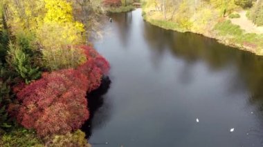 Beautiful scenery view of an autumn park with trees with yellow fallen leaves, lakes, architecture, glades and people walking along dirt paths on an autumn day. Flying over the autumn park. Top view.