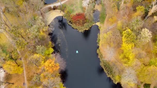 Piękny Widok Jesienny Park Drzewami Żółtymi Opadłymi Liśćmi Jeziorami Architekturą — Wideo stockowe