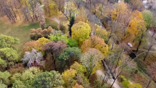 Flying Autumn Park Many Trees Yellow Green Fallen Leaves Lakes — Stock Video