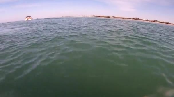 Люди Сидят Моторной Лодке Плавают Море Возле Берега Смотрят Дельфины — стоковое видео