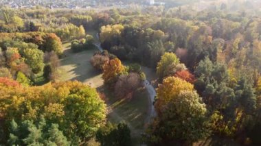 Parktaki sarı yeşil yapraklarla ağaçların üzerinde uçmak, toprak yollar ve güneşli bir sonbahar gününde yürüyen insanlar. Üst Manzara. Orman ormanı doğası güneş ışığı güneşi. Hava aracı görünümü.