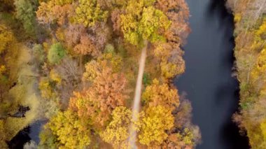 Flying over lakes with floating birds, trees with yellow red green orange fallen leaves and people walking on dirty paths. Large beautiful landscaped park in autumn day. Top view. Landscape view park