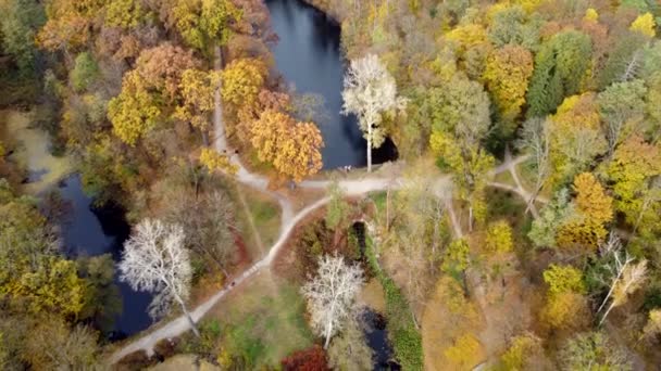 Large Beautiful Landscaped Park Autumn Day Top View Flying Trees — Vídeos de Stock
