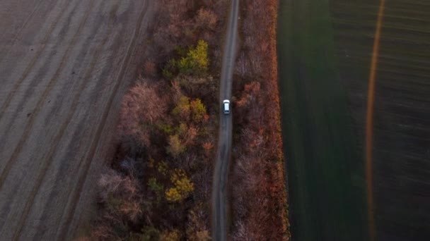White Car Driving Dirt Road Agricultural Fields Countryside Autumn Evening — Stockvideo