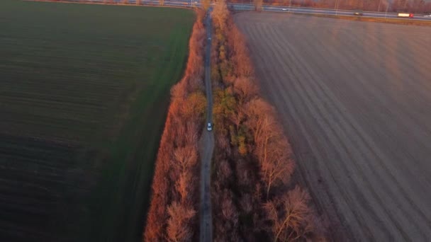 White Car Driving Dirt Road Agricultural Fields Countryside Autumn Evening — Stockvideo