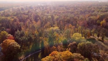 Güneşli bir sonbahar gününde insanların parkta yürüdüğü sarı yapraklı, ağaçlı ve patikalı güzel panoramik manzara. Güzel doğal arka plan. Sonbahar yapraklarının düşüşünü kabul et