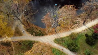 Beautiful view people walking on ground paths near lake in park with trees with yellow red green fallen leaves on sunny autumn day. Top view. Beautiful natural background. Aerial drone view.