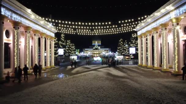 Kijev Ukrajna Január 2022 Gyönyörű Kilátás Nyílik Bejárat Park Oszlopok — Stock videók