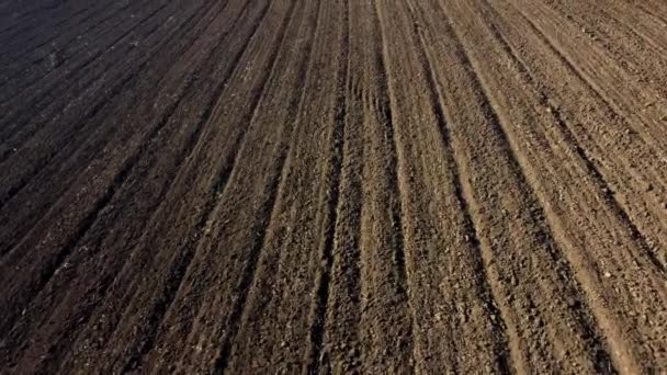 Landscape Plowed Land Agricultural Field Sunny Autumn Day Flying Plowed — Video Stock