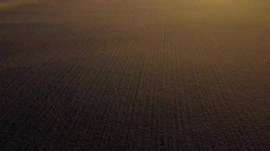 Landscape of plowed up land on an agricultural field on a sunny autumn day. Flying over the plowed earth with black soil. Agrarian background. Black soil. Ground earth dirt priming aerial drone view.