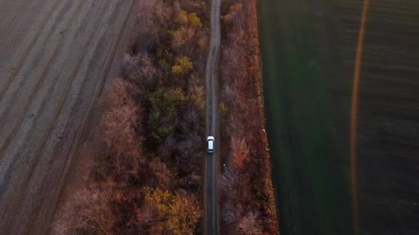 Weißes Auto Auf Feldweg Zwischen Landwirtschaftlichen Feldern Landschaft Herbstabend Draufsicht — Stockvideo