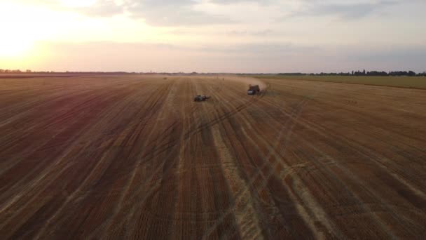 수확물을 거두어들이고 트럭에 저녁에 운반하는 모은다 무인기 곡물을 밭이었습니다 밭에서 — 비디오