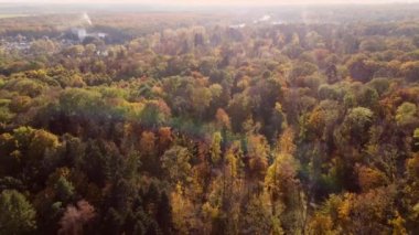 Güneşli bir sonbahar gününde insanların parkta yürüdüğü sarı yapraklı, ağaçlı ve patikalı güzel panoramik manzara. Doğal çevre geçmişi. Sonbahar yapraklarının düşüşünü kabul et