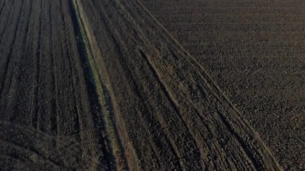 秋天里阳光灿烂的时候耕地的景观 用黑土在犁地上飞行 黑土地面尘土飞扬的无人机视图 土地背景 — 图库视频影像