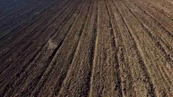 在一个阳光明媚的秋日 耕地上耕地的景观 地面尘土飞扬的无人机视图 黑土土地背景 用黑土在犁地上飞舞 — 图库视频影像