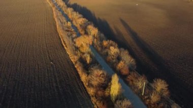 Güneşli bir sonbahar akşamında geniş tarımsal toprak tarlaları arasında ağaçlar ve gölgelerle güzel manzara manzarası. Toprak tarlalarının üzerinde uçarak. Hava aracı
