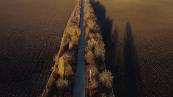 Prachtig Uitzicht Het Landschap Oude Asfaltweg Met Bomen Schaduwen Tussen — Stockvideo