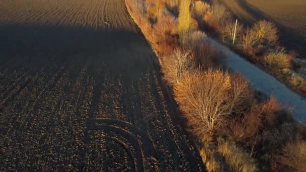 Beautiful Landscape View Old Asphalt Road Trees Shadows Large Plowed — Stock Video