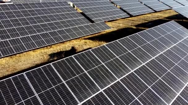 Solarkraftwerk Flug Über Module Des Solarkraftwerks Sonnigen Tag Erneuerbare Energien — Stockvideo