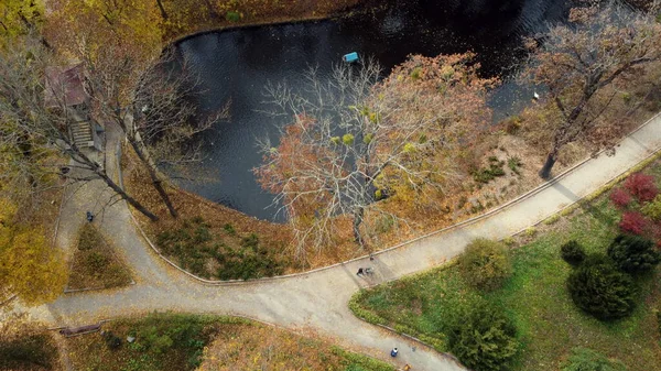 Солнечный Осенний День Люди Гуляют Тропинкам Возле Озера Парке Деревьями — стоковое фото