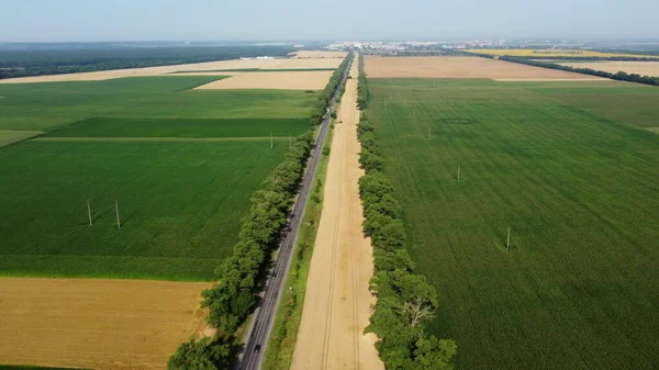 Automobile Asphalt Road Cars Driving Agricultural Fields Yellow Ripened Wheat — 스톡 사진