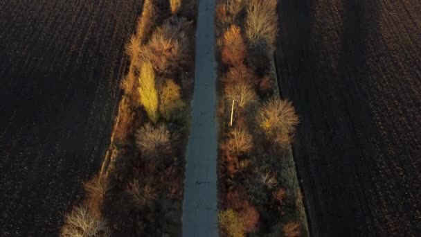 Güneşli Bir Sonbahar Akşamında Geniş Tarımsal Toprak Tarlaları Arasında Ağaçlar — Stok video