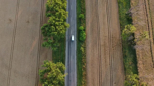 Cars Driving Road Trees Large Fields Yellow Ripened Wheat Summer — Stockfoto