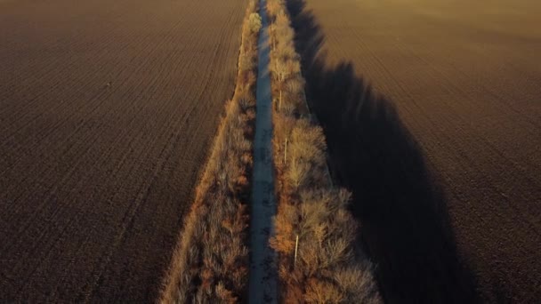 Güneşli Bir Sonbahar Akşamında Geniş Tarımsal Toprak Tarlaları Arasında Ağaçlar — Stok video