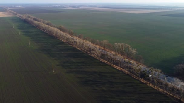 Frumos Peisaj Multe Terenuri Agricole Verzi Diferite Drumuri Auto Mașini — Videoclip de stoc