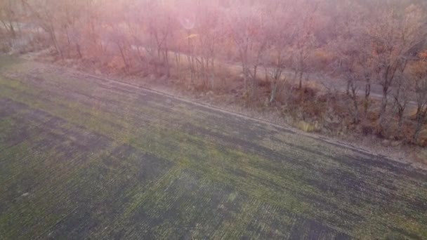 Gepflügtes Feld Und Bäume Ohne Blätter Erhellten Das Sonnenlicht Einem — Stockvideo
