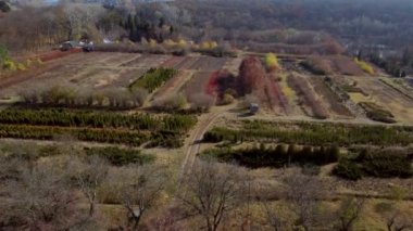 Sonbaharda fidanlık. Güneşli bir sonbahar gününde, bitki yetiştirme odasındaki farklı türde bitkilerin üzerinde uçmak. Hava aracı görüntüsü. Farklı bitki ve ağaçlar yetiştirmek ve yetiştirmek..