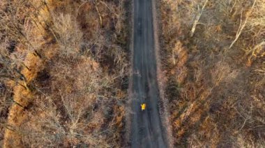 Sarı ceketli kadın, güneşli bir sonbahar gününde ağaçlar ve tarlalar arasında siyah toprak yolda bisiklet sürüyor. Üst Manzara. Toprak yolda bisiklet süren bir kadın. Seyahat turizmi