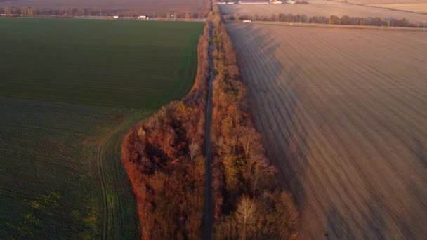Prachtig Agrarisch Boerenlandschap Verschillende Landbouwvelden Snelweg Met Rijdende Auto Zonnige — Stockvideo