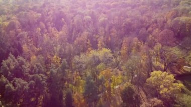 Güneşli bir sonbahar gününde yeşil ve sarı yapraklarla ağaçların üzerinde uçmak. İnsanlar parkın patikalarında yürüyor. Sonbahar arkaplanı. Hava aracı görüntüsü. Kırmızı güneş parlıyor,