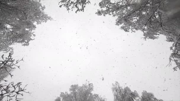 Падение Снега Сверху Снегопад Снег Падает Хлопья Вертикально Сверху Небо — стоковое видео