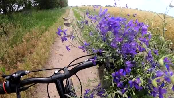 Belles Fleurs Violettes Sauvages Sur Guidon Noir Vélo Sur Chemin — Video